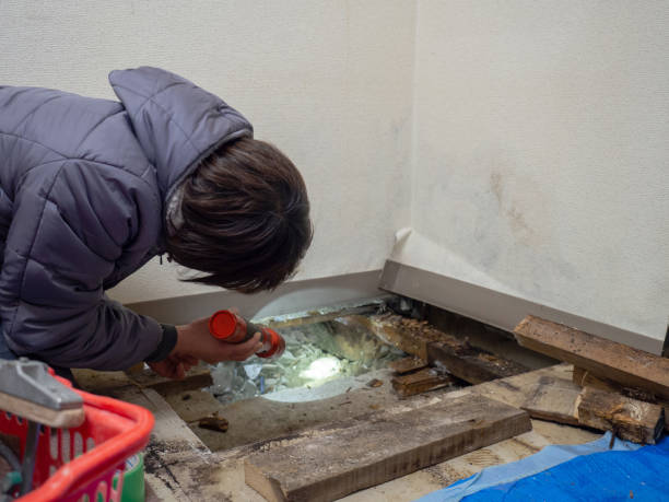 Best Industrial Mold Remediation  in Sanibel, FL