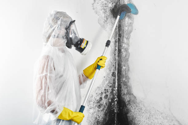 Best Biohazard Mold Removal  in Sanibel, FL