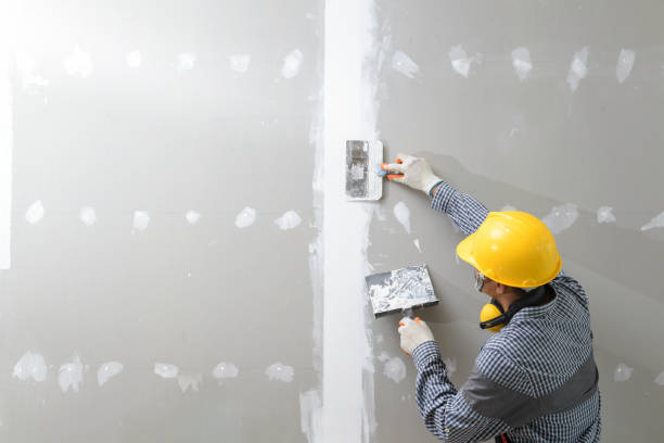 Best HVAC Mold Inspection and Cleaning  in Sanibel, FL