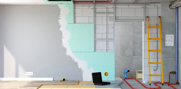 Best Mold Remediation for Vacation Homes  in Sanibel, FL