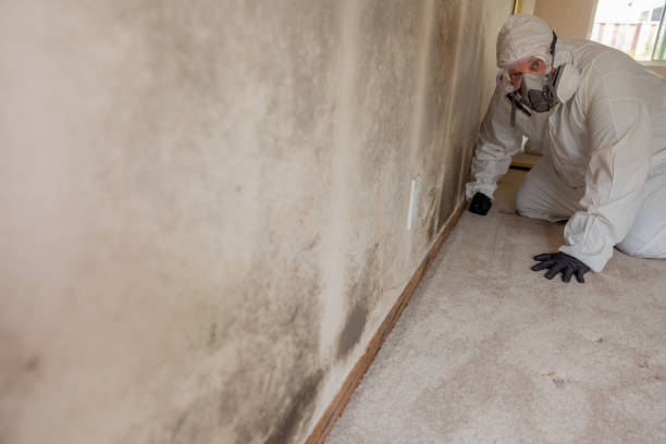 Best Residential Mold Inspection & Testing  in Sanibel, FL