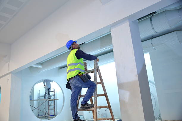 Best Basement Mold Removal  in Sanibel, FL